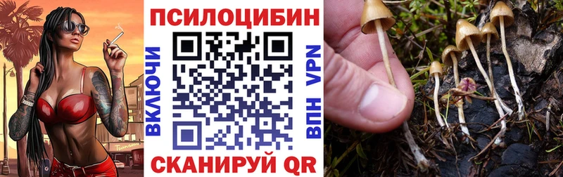 Галлюциногенные грибы мухоморы  Купить где  Анапа 
